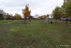 2018 10 27 10_22_28 Uhr 1007.JPG