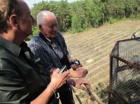 08_Begutachtung_des Kastens.jpg