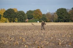 2016 10 29 15_27_32 Uhr.JPG