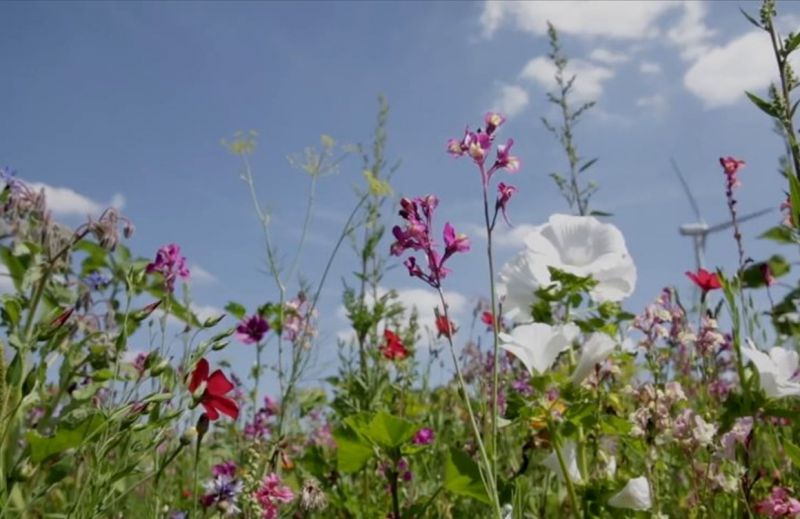 Zeit, dass uns was blüht!